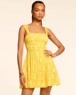 Aydan Embroidered Chiffon Smocked Mini Dress
