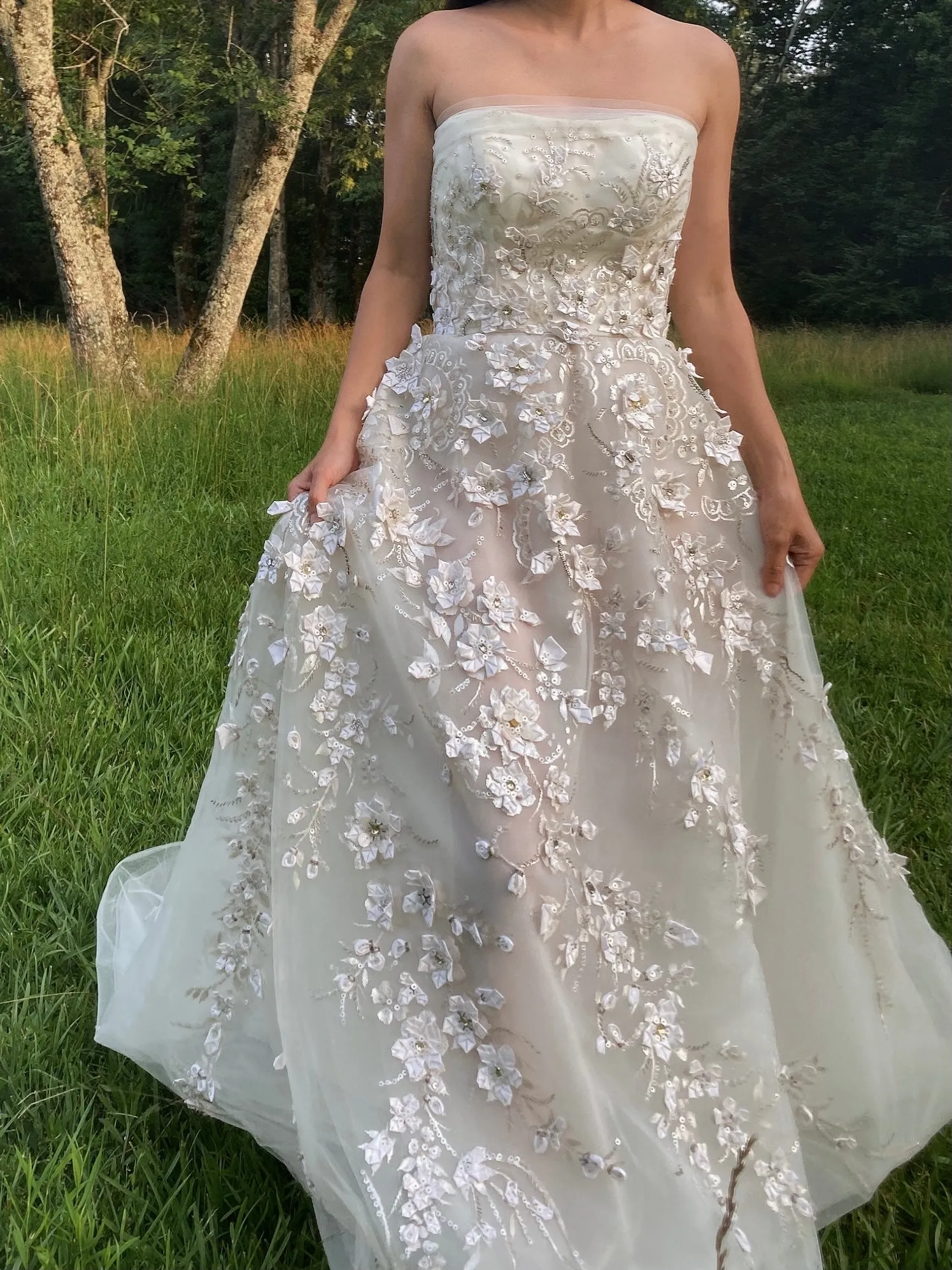 Carolina Herrera Tulle and Silk Embellished Gown - XS/2