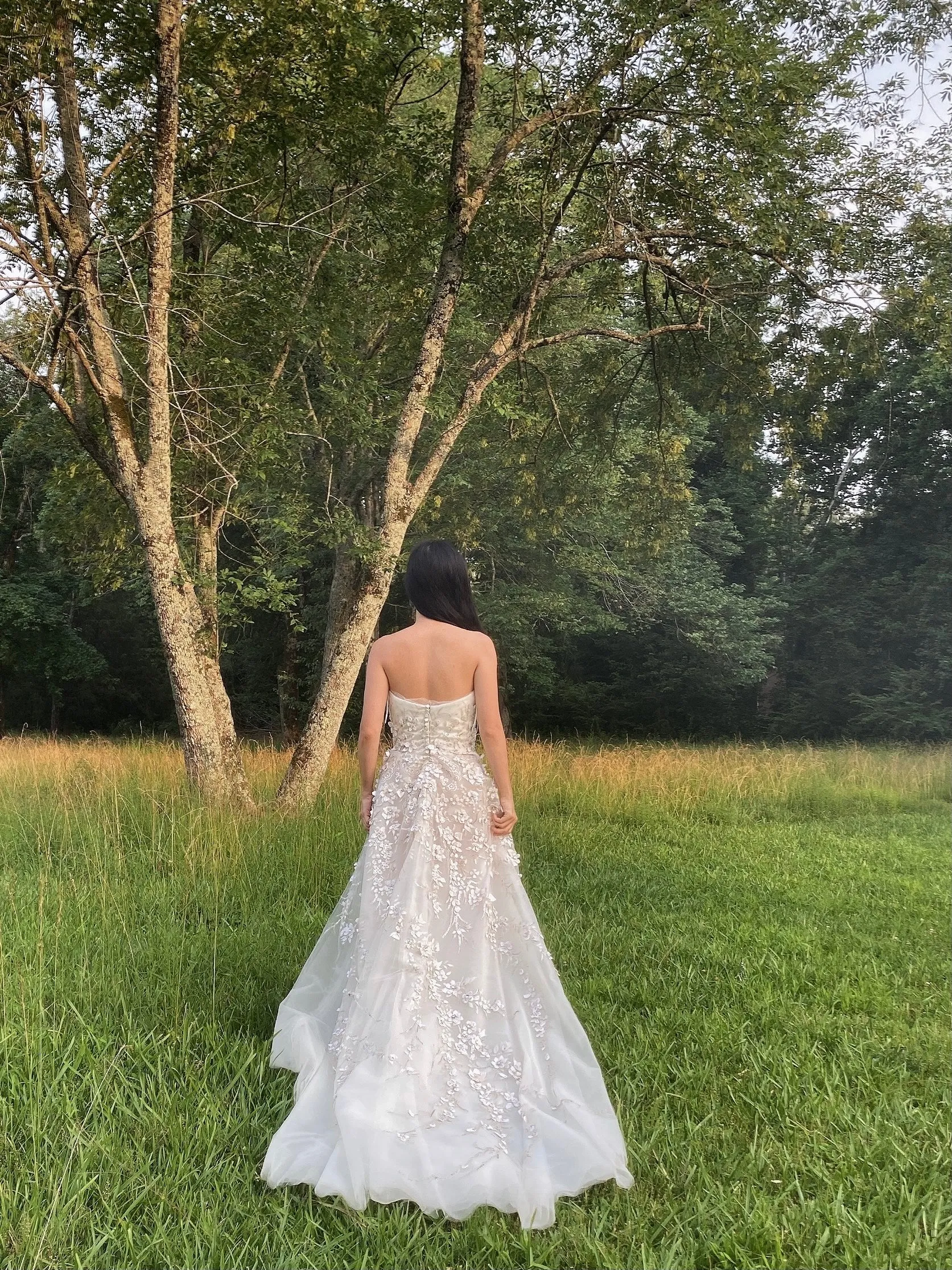 Carolina Herrera Tulle and Silk Embellished Gown - XS/2