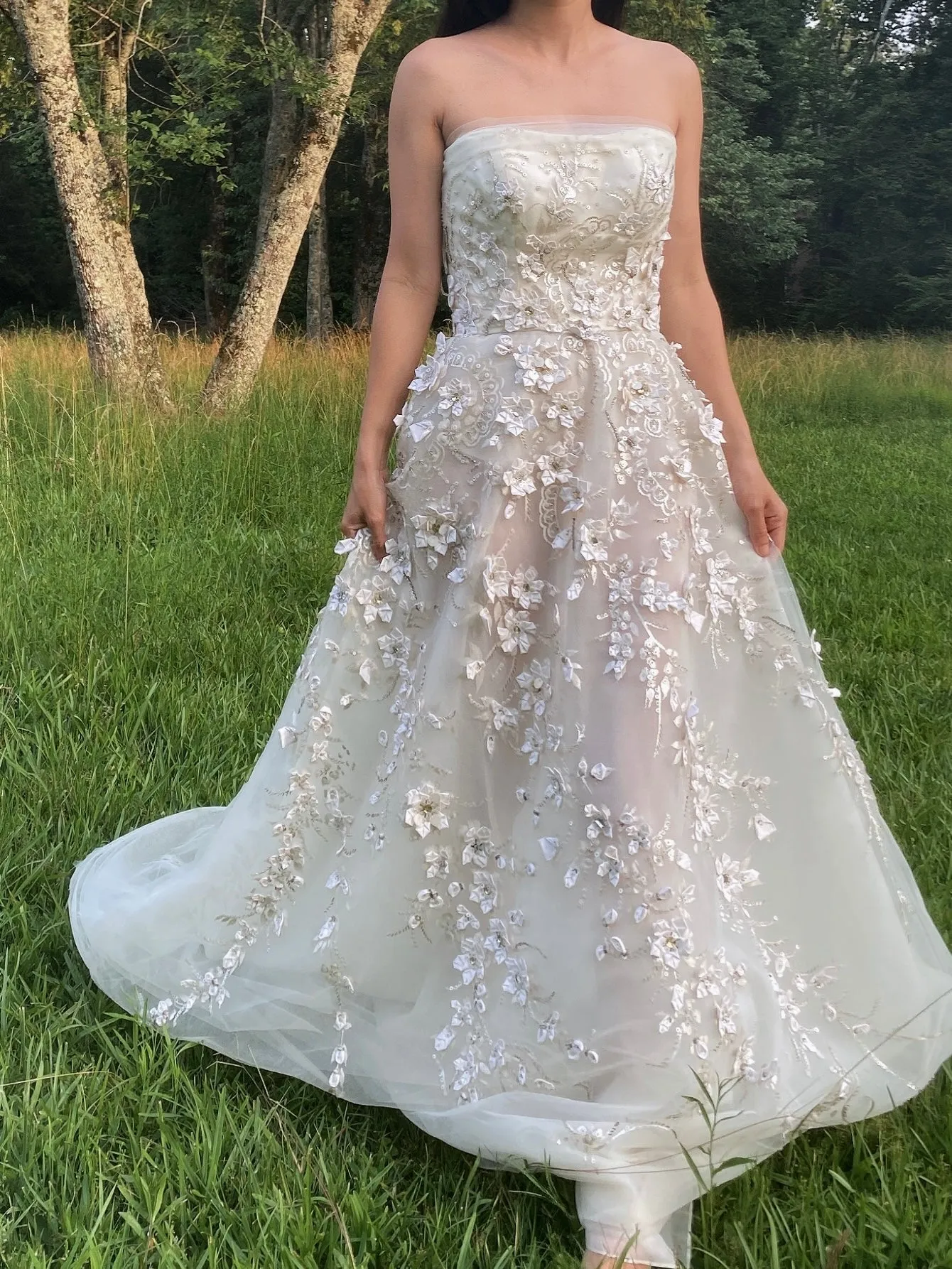 Carolina Herrera Tulle and Silk Embellished Gown - XS/2