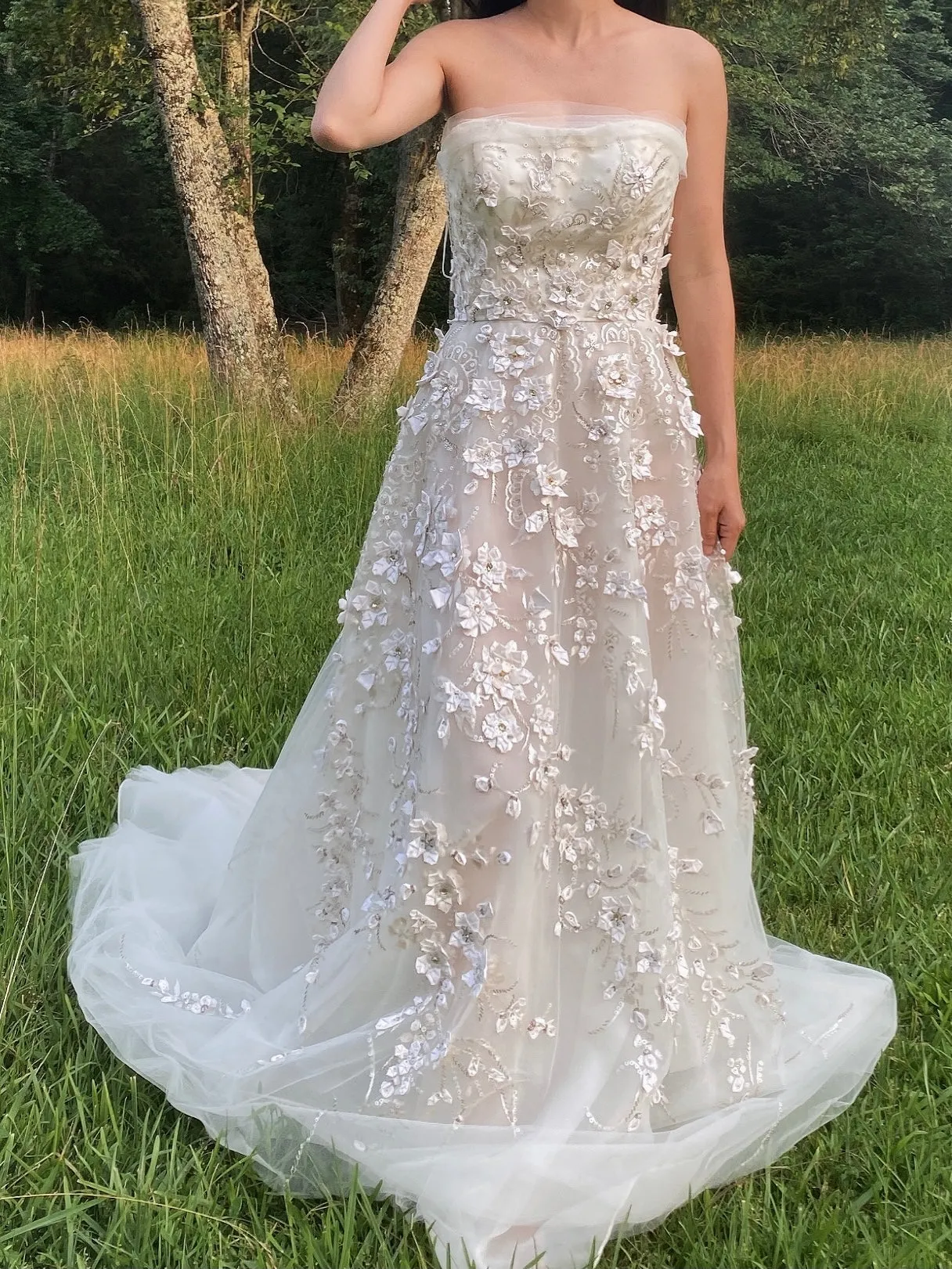 Carolina Herrera Tulle and Silk Embellished Gown - XS/2