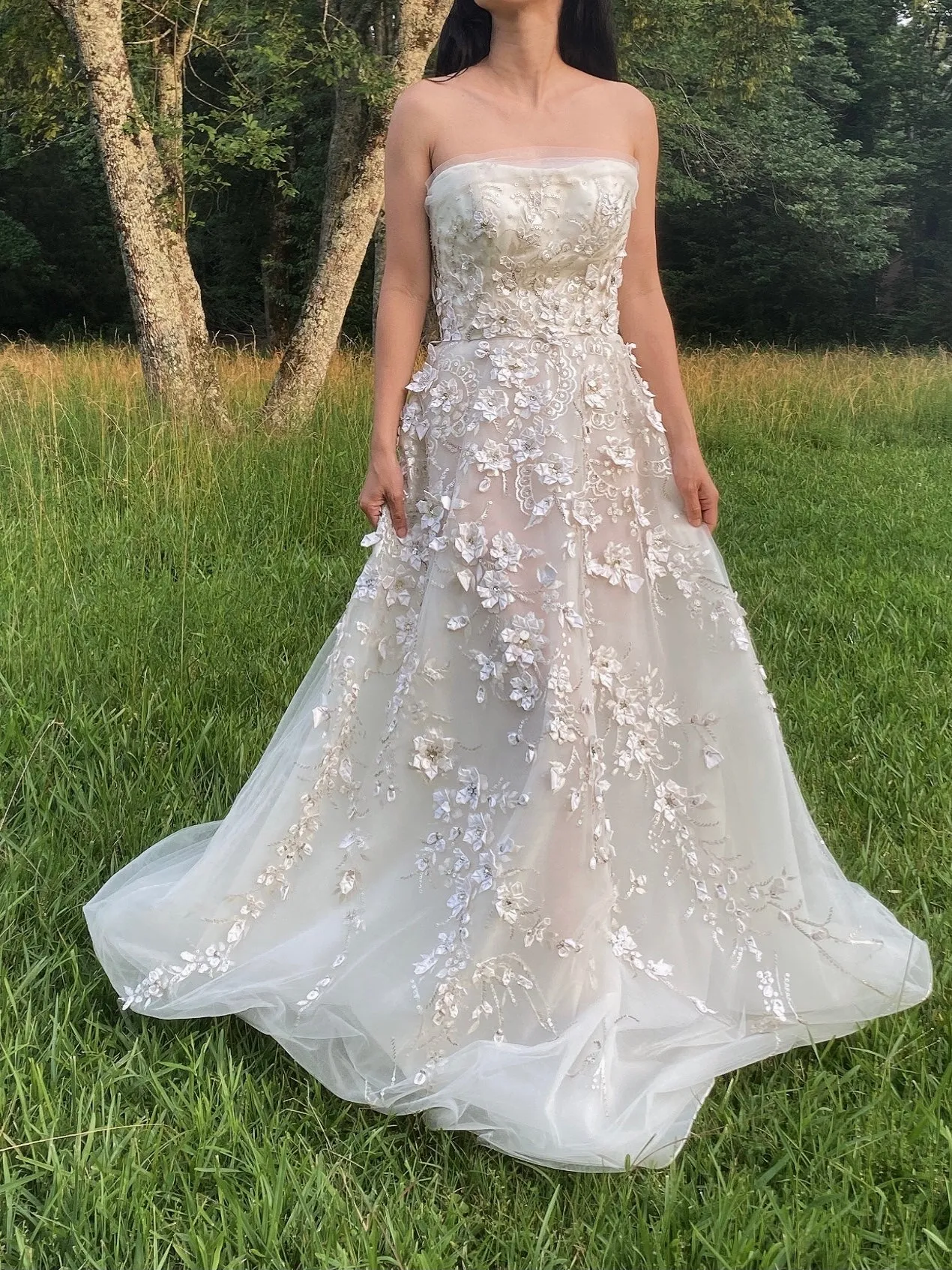 Carolina Herrera Tulle and Silk Embellished Gown - XS/2