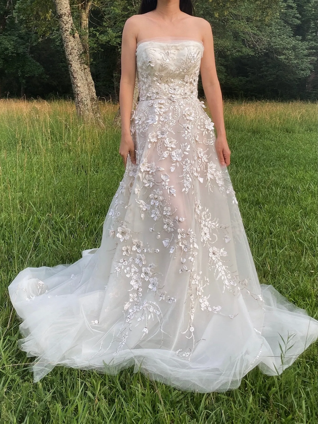 Carolina Herrera Tulle and Silk Embellished Gown - XS/2
