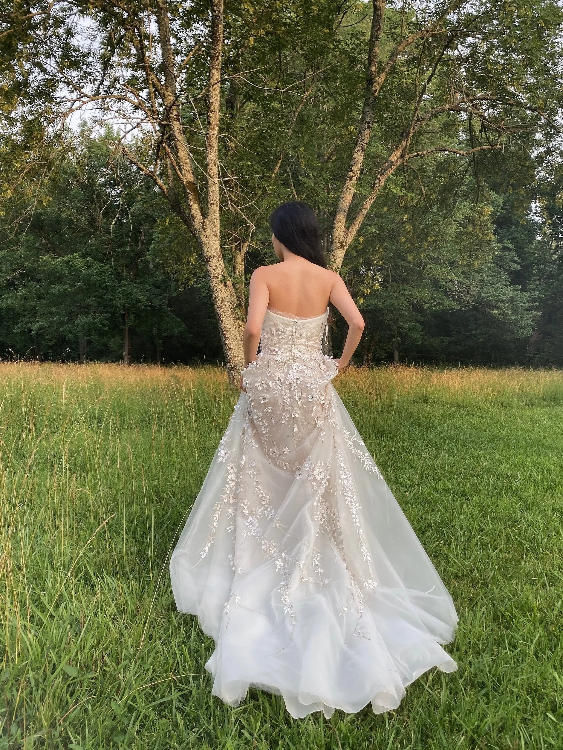 Carolina Herrera Tulle and Silk Embellished Gown - XS/2