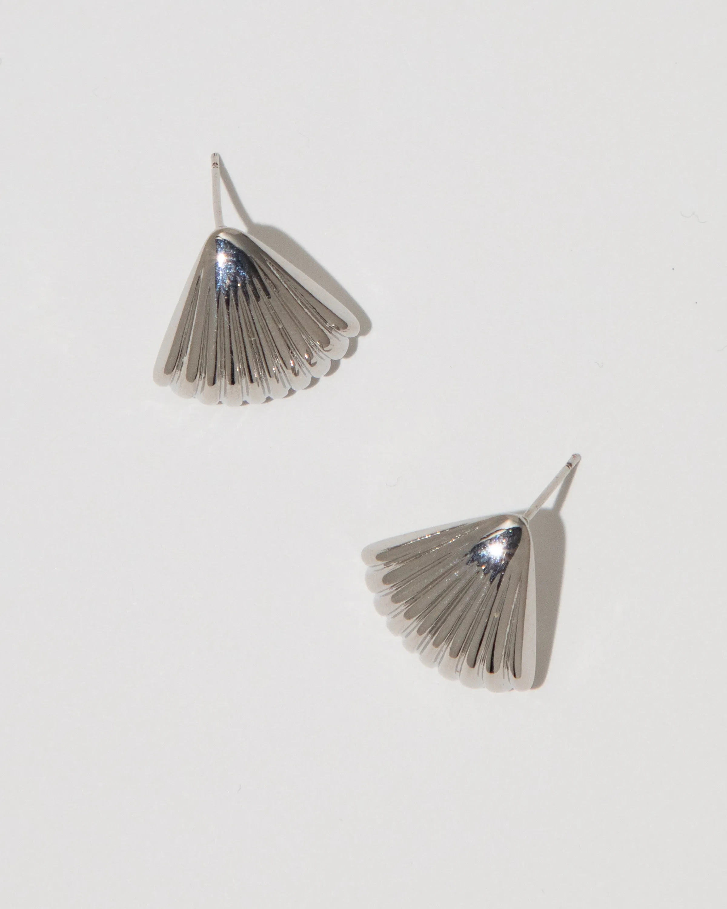 Seashell Stud Earrings